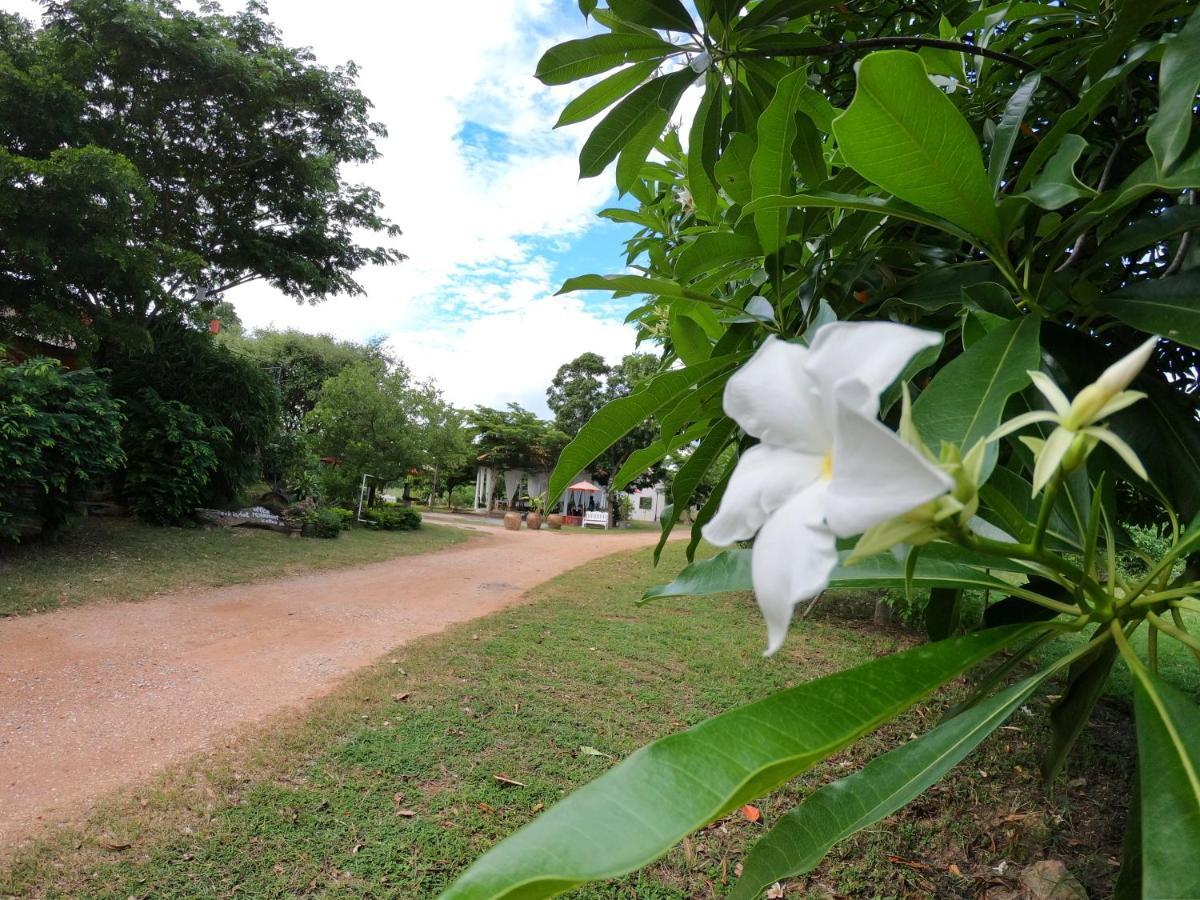 Naracha Resort Mueang Kao Ngoại thất bức ảnh