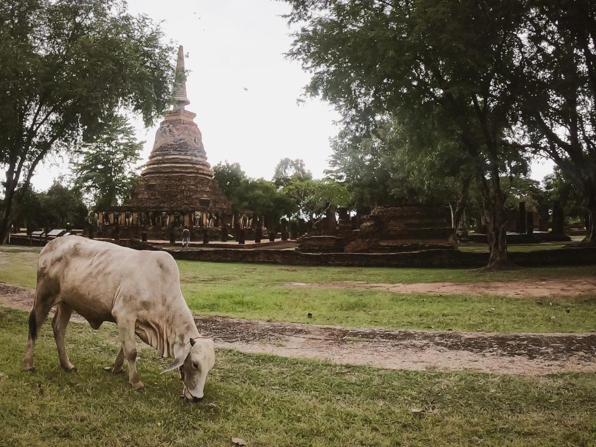 Naracha Resort Mueang Kao Ngoại thất bức ảnh